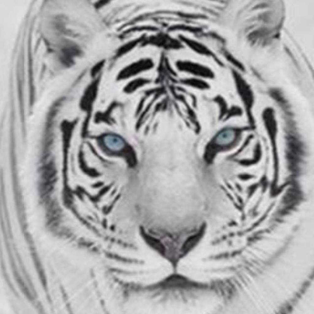 Meet your Posher, Dina